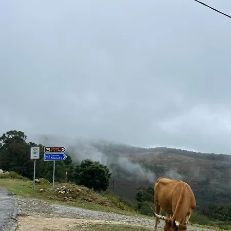 Casa Dos Manels بيت للعطل *