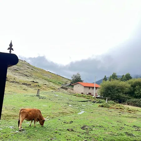 بيت للعطل Casa Dos Manels