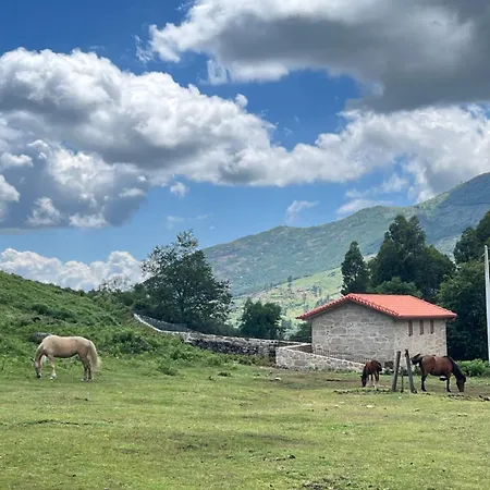 Casa Dos Manels Holiday home