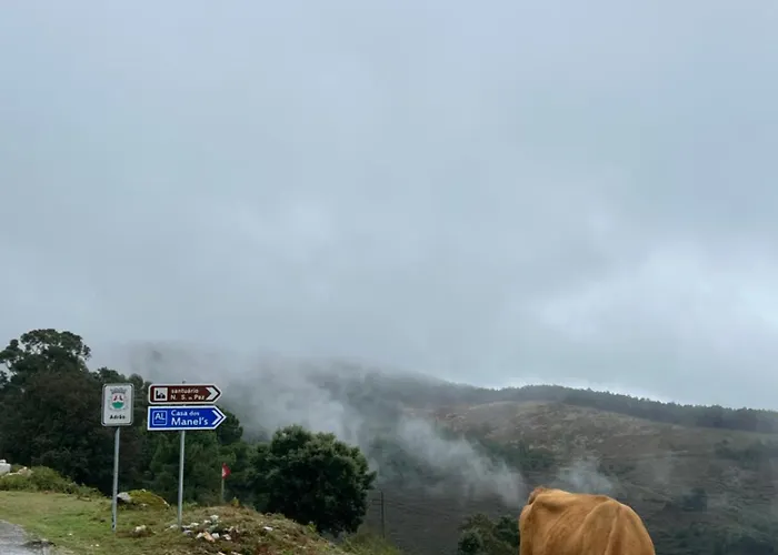 Casa Dos Manels 度假居 *