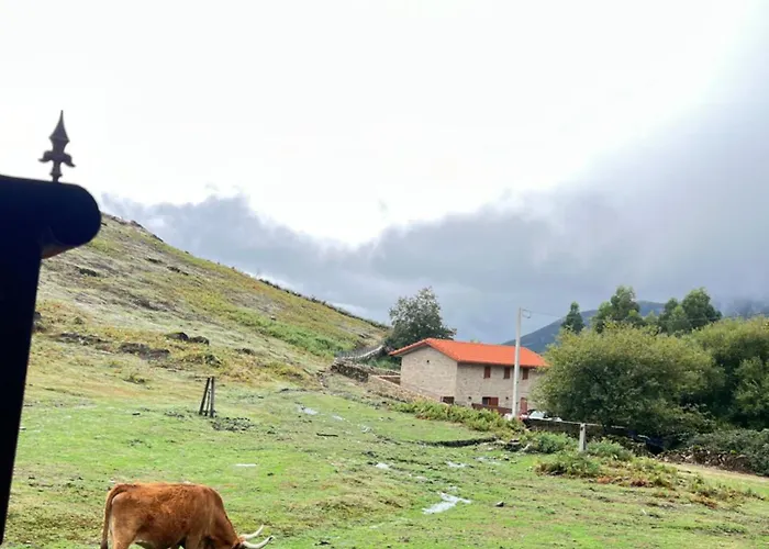 Ferienhaus Casa Dos Manels